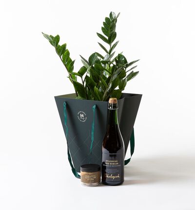 Zamioculcas i gavepose Zamioculcas i gavepose